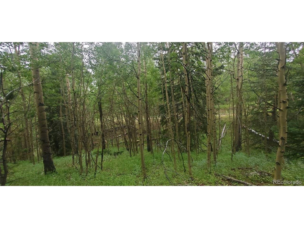 Address not disclosed, Fort Garland, CO 81133