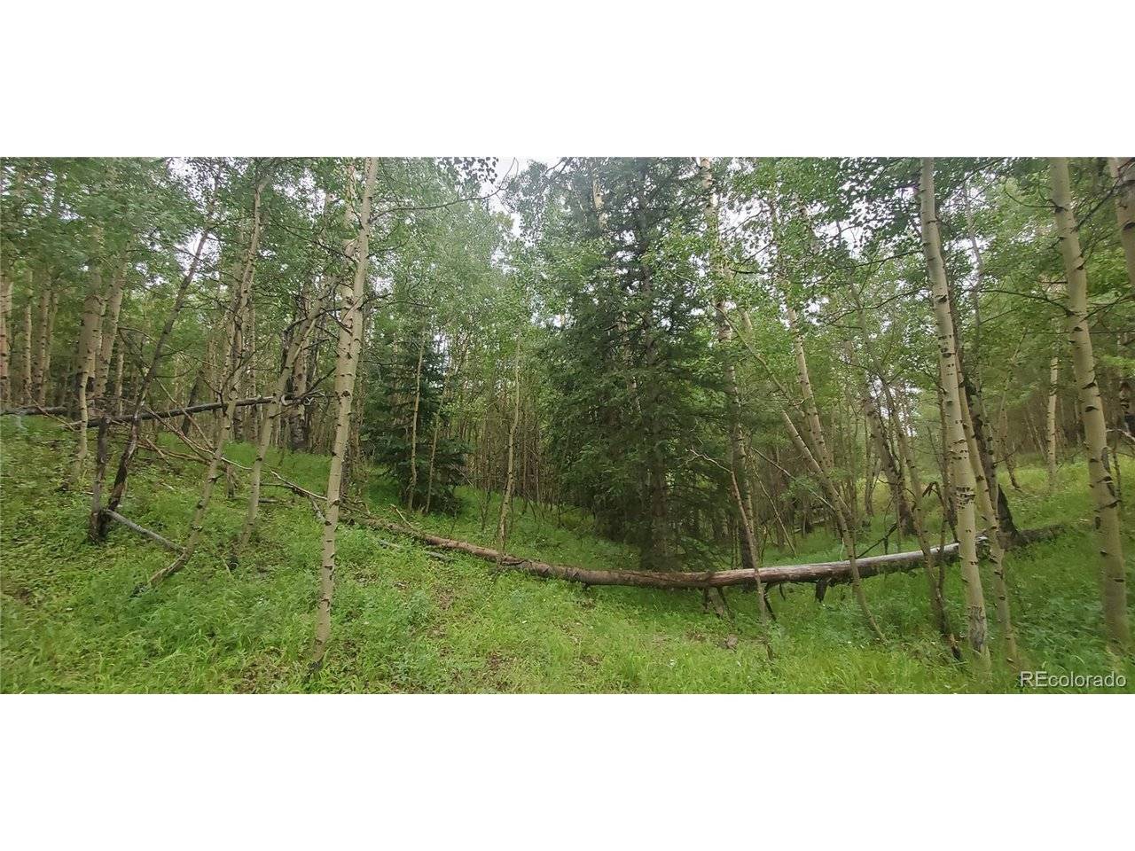 Address not disclosed, Fort Garland, CO 81133