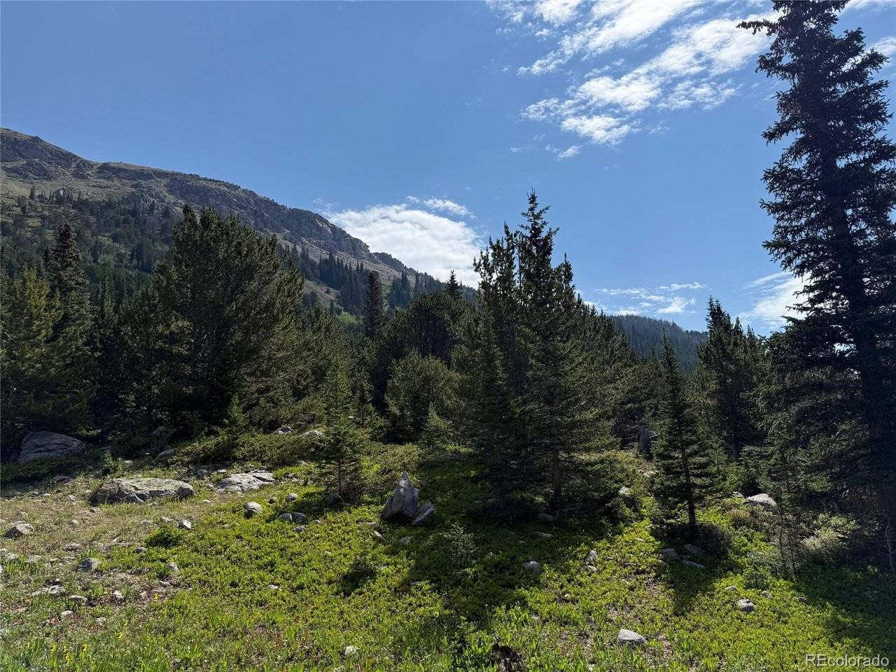 4880 Fourth of July, Nederland, CO 80466