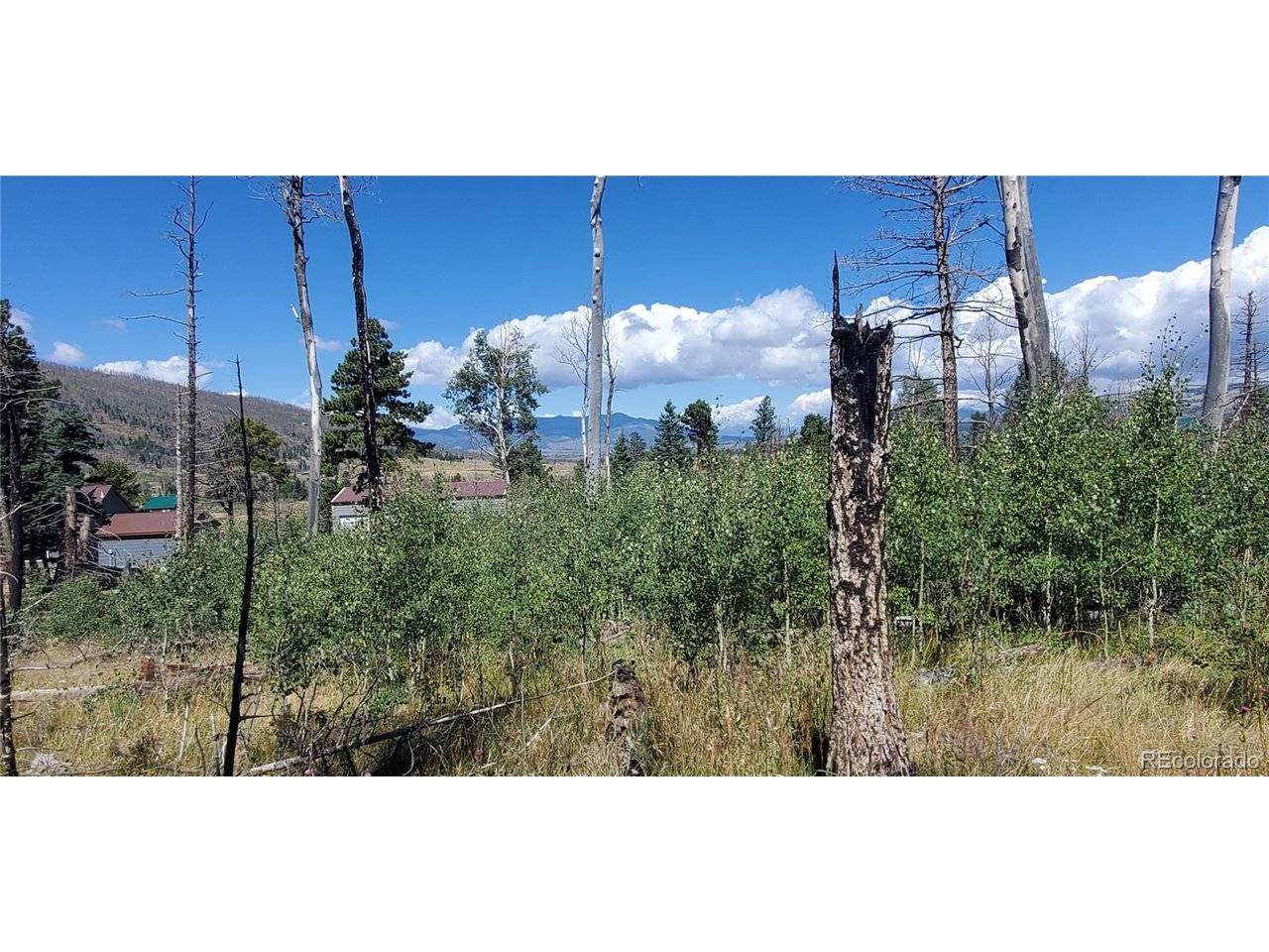 1064 Reed, Fort Garland, CO 81133