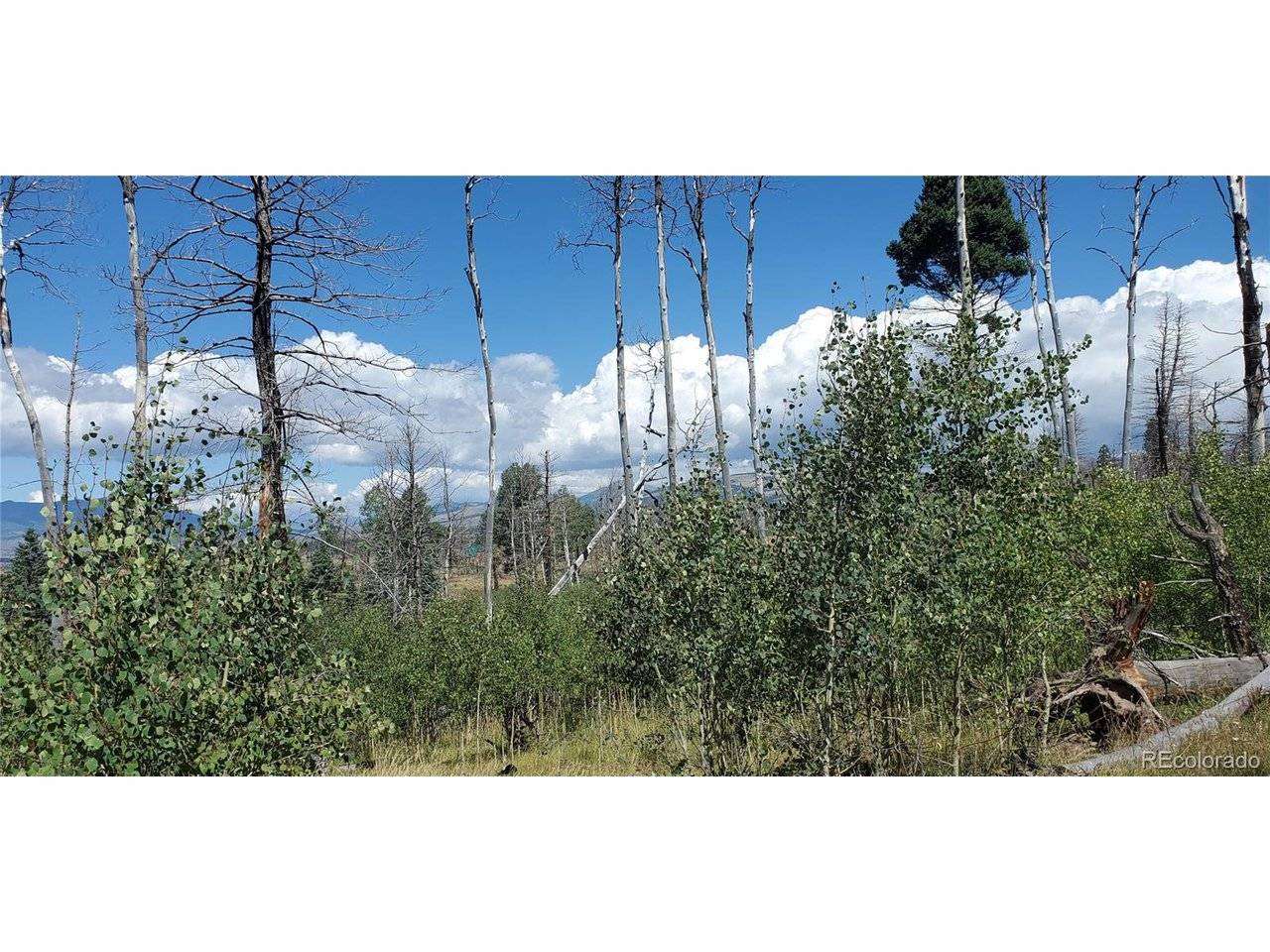1064 Reed, Fort Garland, CO 81133