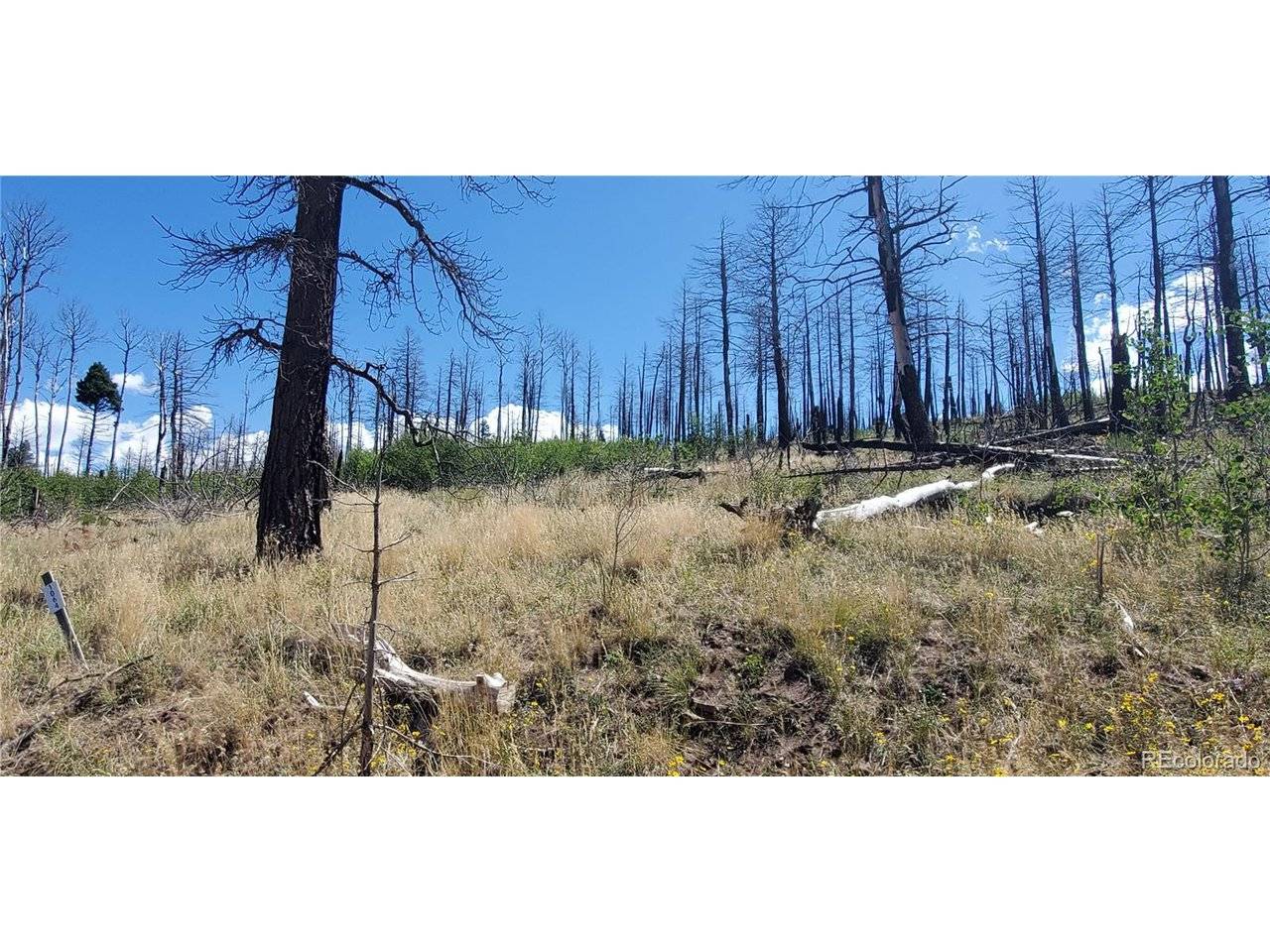1064 Reed, Fort Garland, CO 81133