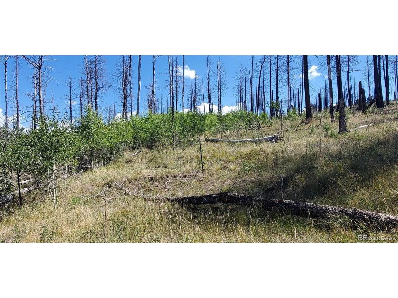 1064 Reed, Fort Garland, CO 81133
