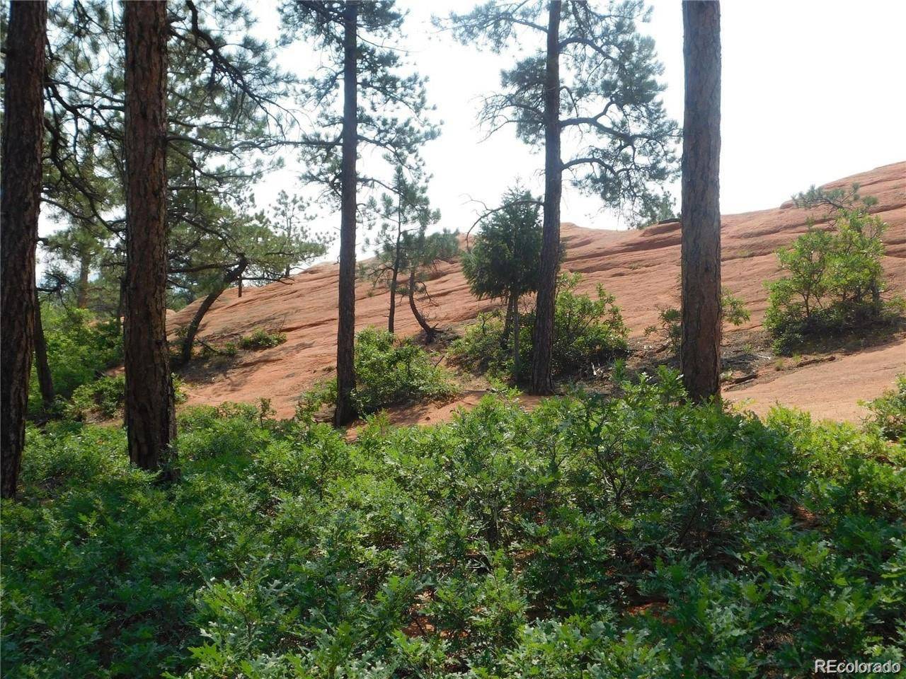 4356 Elati, Larkspur, CO 80118