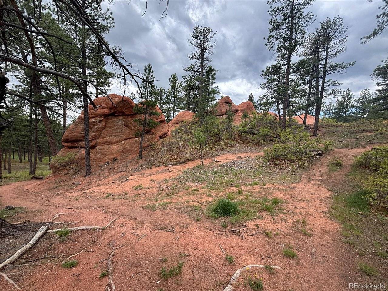 4356 Elati, Larkspur, CO 80118