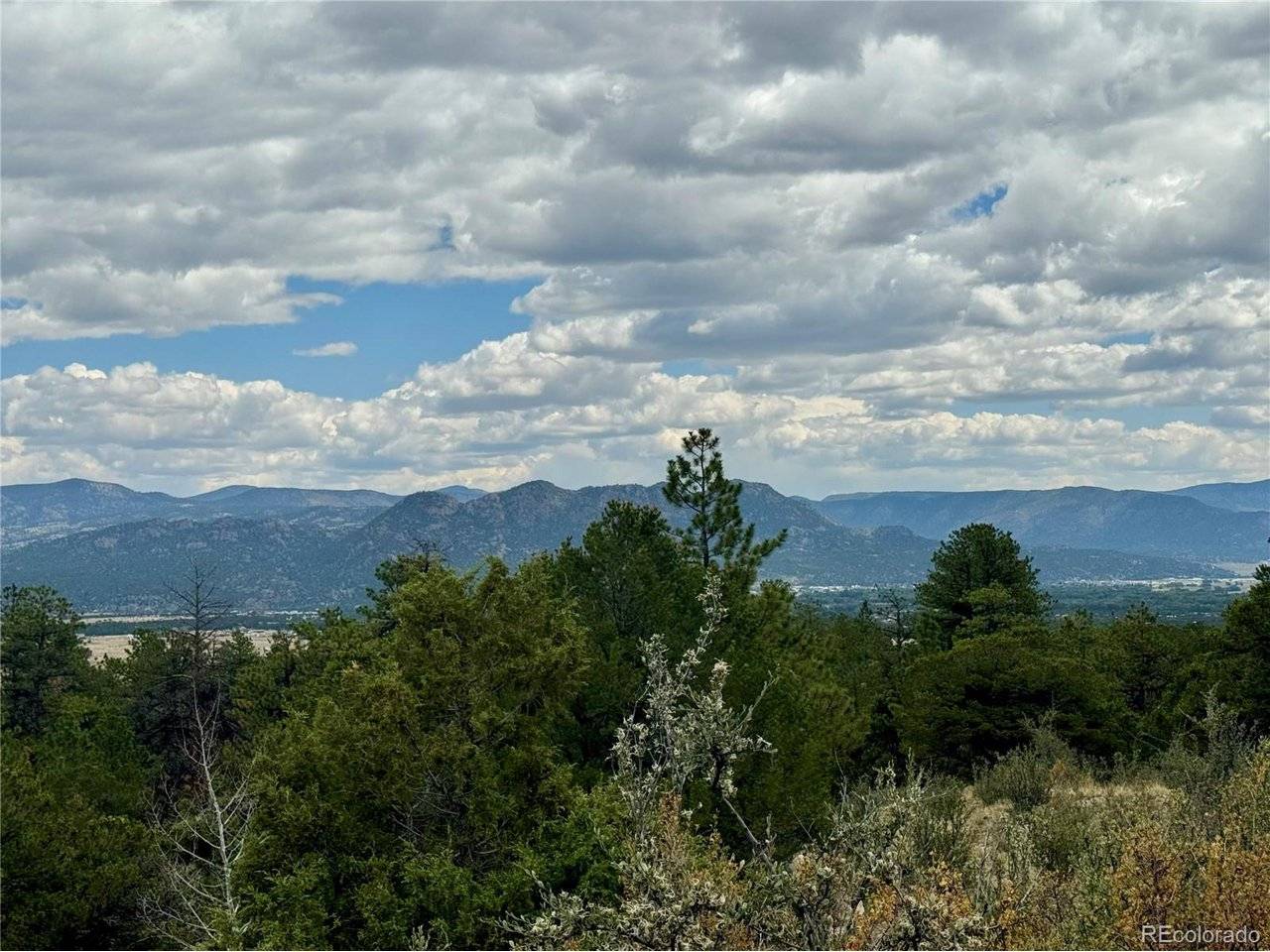 30110 Princeton, Buena Vista, CO 81211