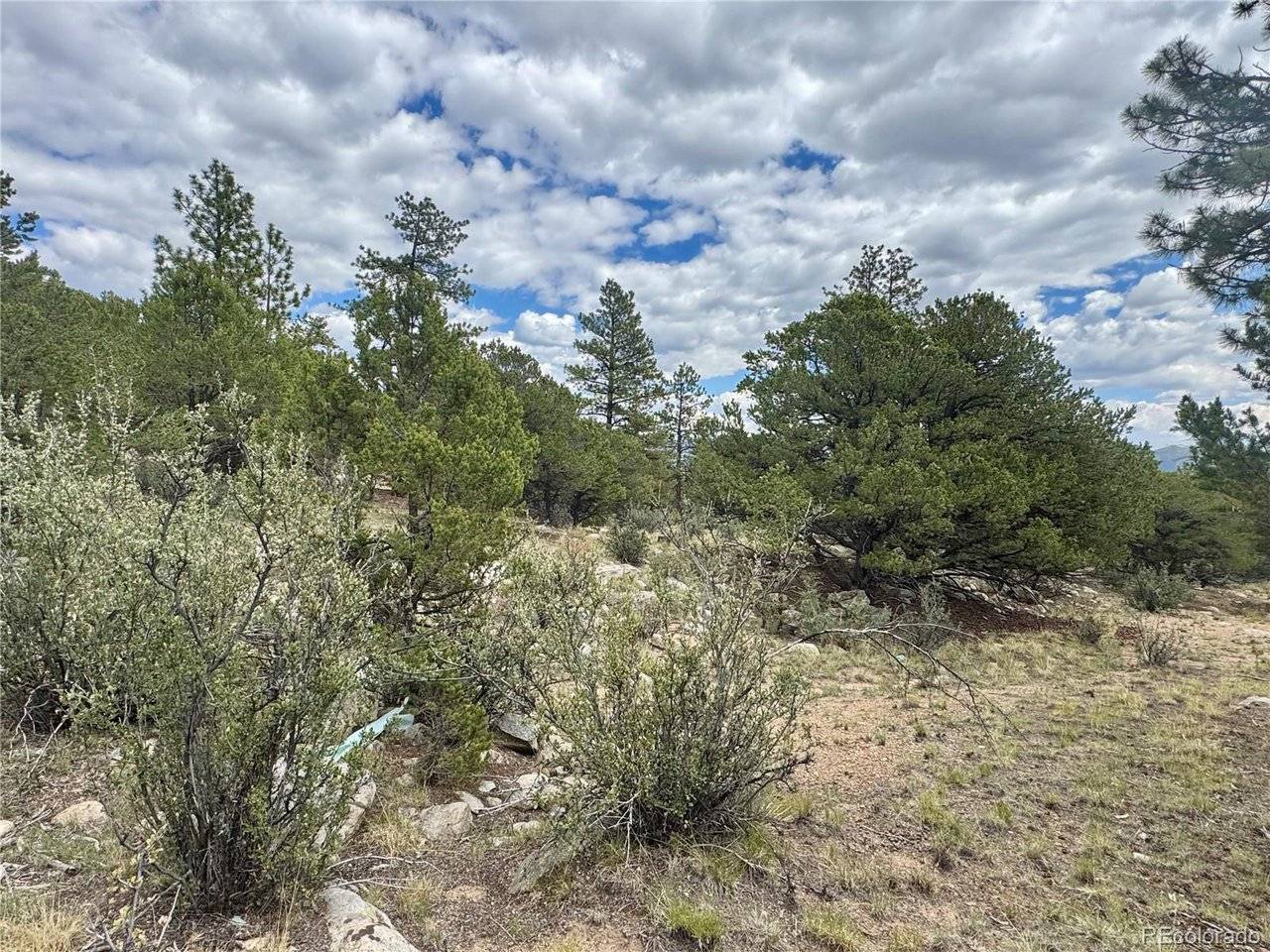 30110 Princeton, Buena Vista, CO 81211