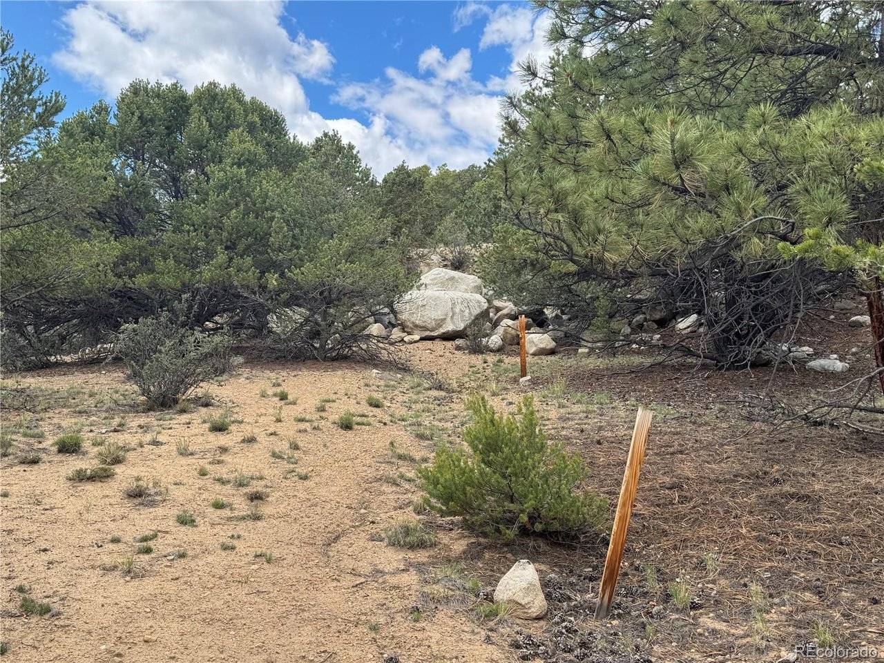 30110 Princeton, Buena Vista, CO 81211