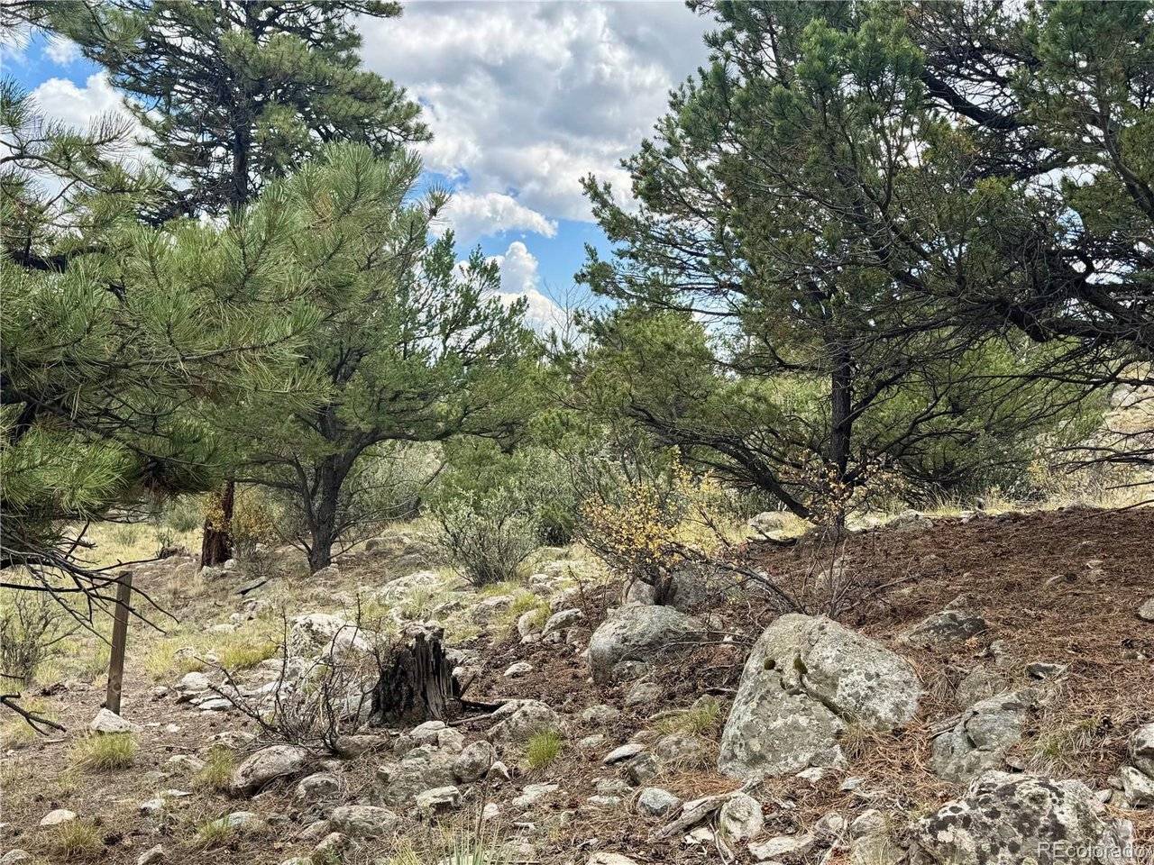 30110 Princeton, Buena Vista, CO 81211