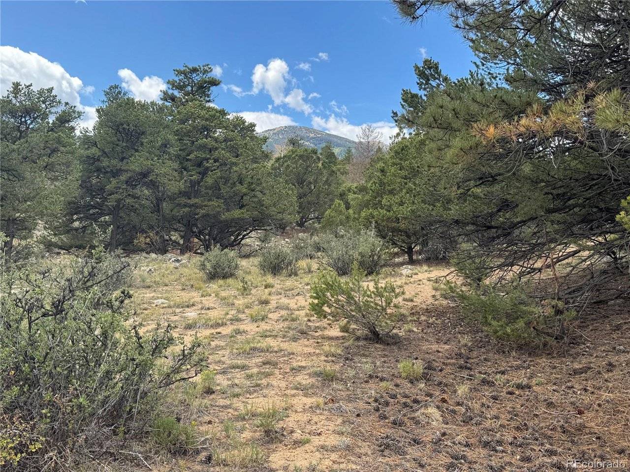 30110 Princeton, Buena Vista, CO 81211