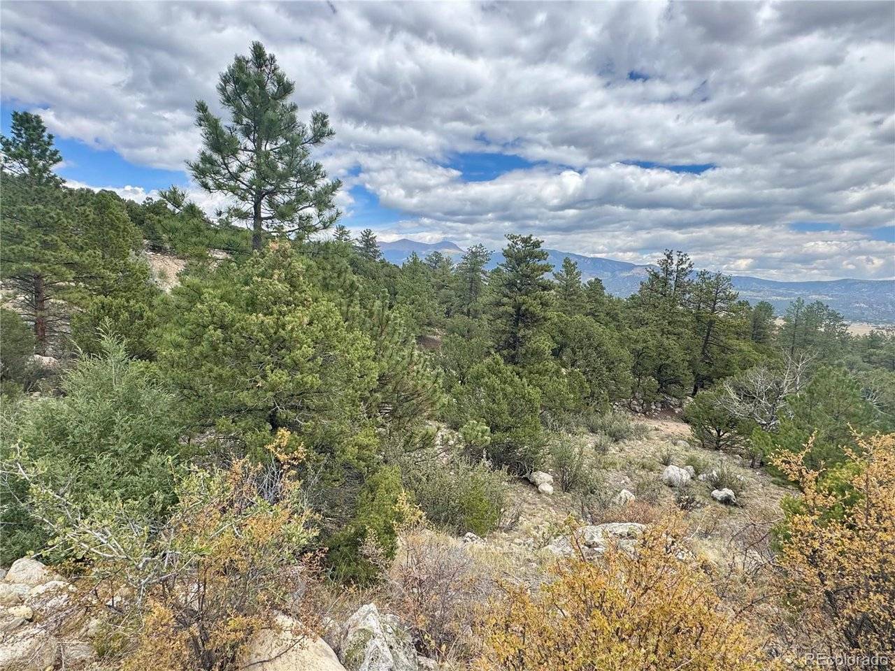 30110 Princeton, Buena Vista, CO 81211