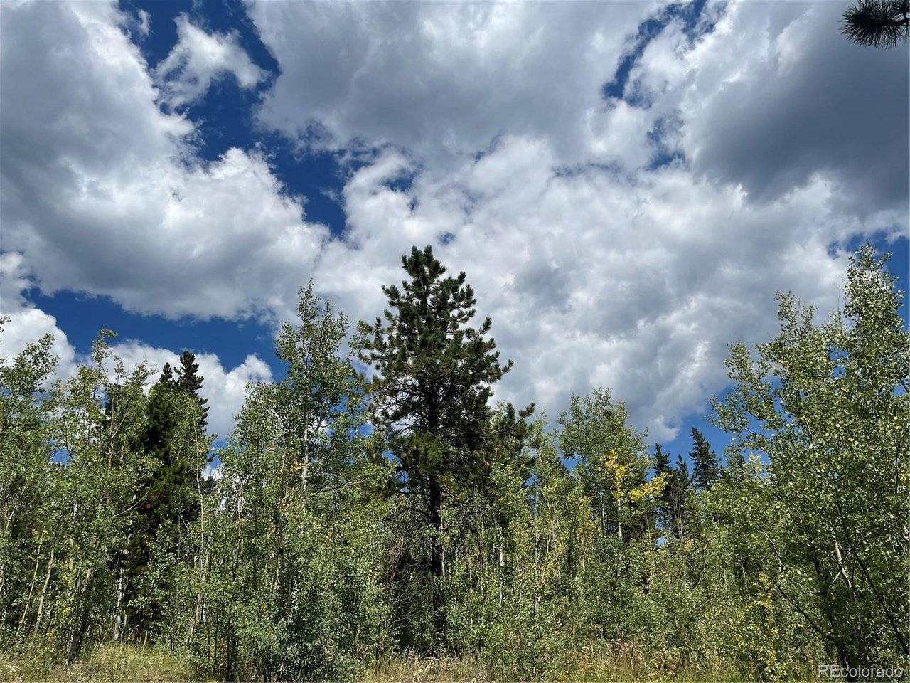 795 Russell Gulch, Central City, CO 80427