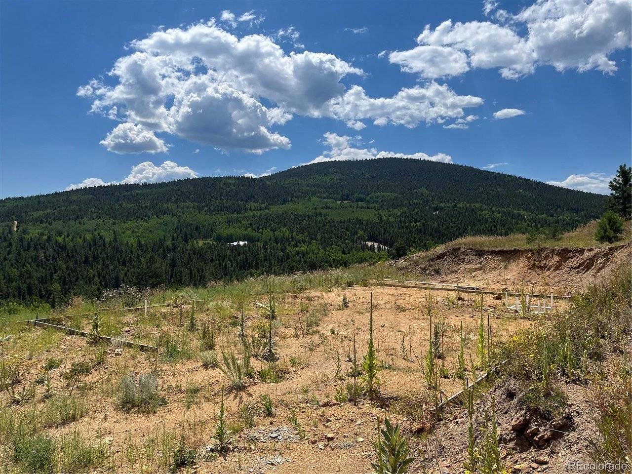 795 Russell Gulch, Central City, CO 80427