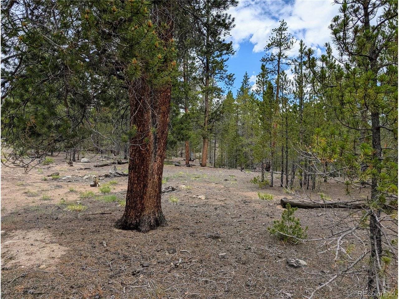 437 Juniper, Twin Lakes, CO 81251