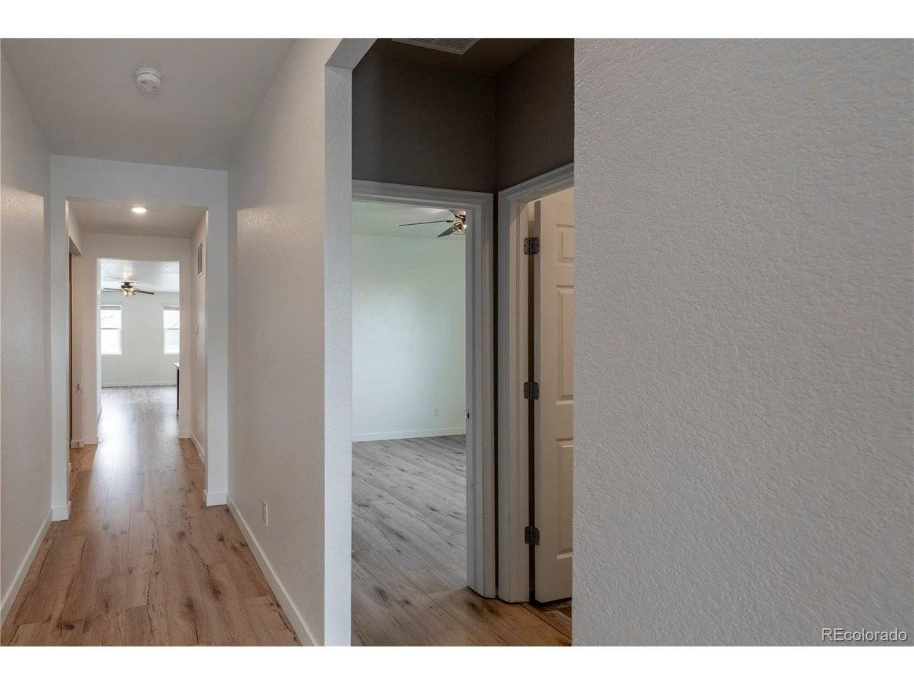 2099 Shadow Rider, Castle Rock, CO 80104