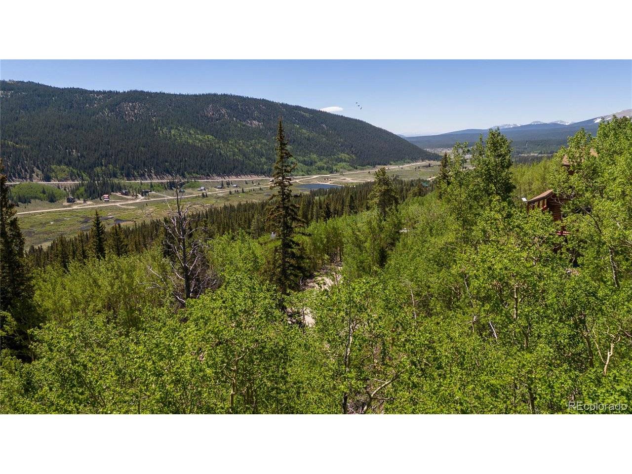 1255 Quartzville, Fairplay, CO 80440