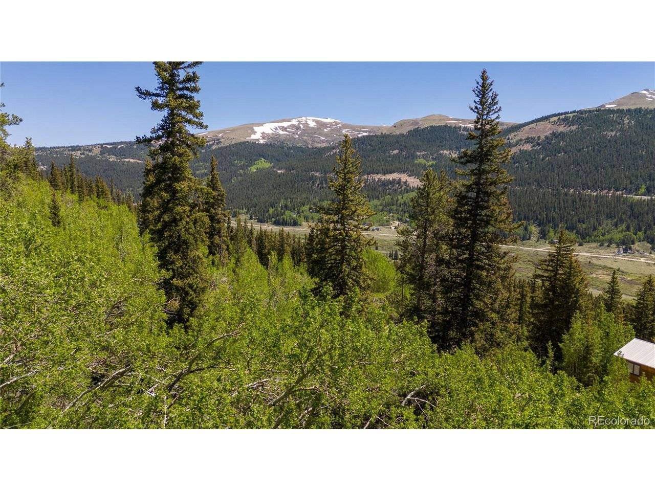 1255 Quartzville, Fairplay, CO 80440