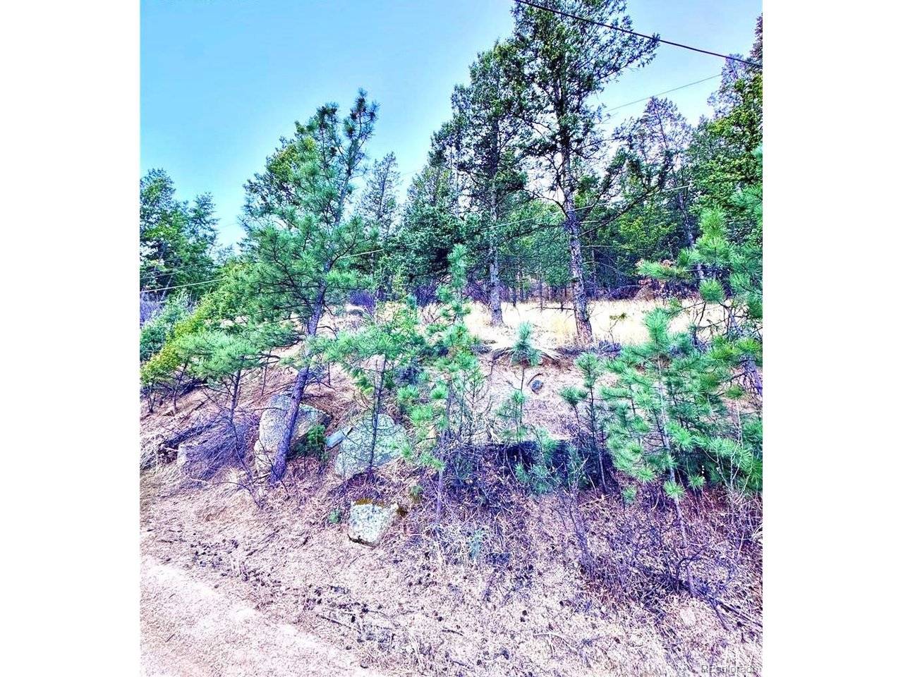 Address not disclosed, Green Mountain Falls, CO 80819
