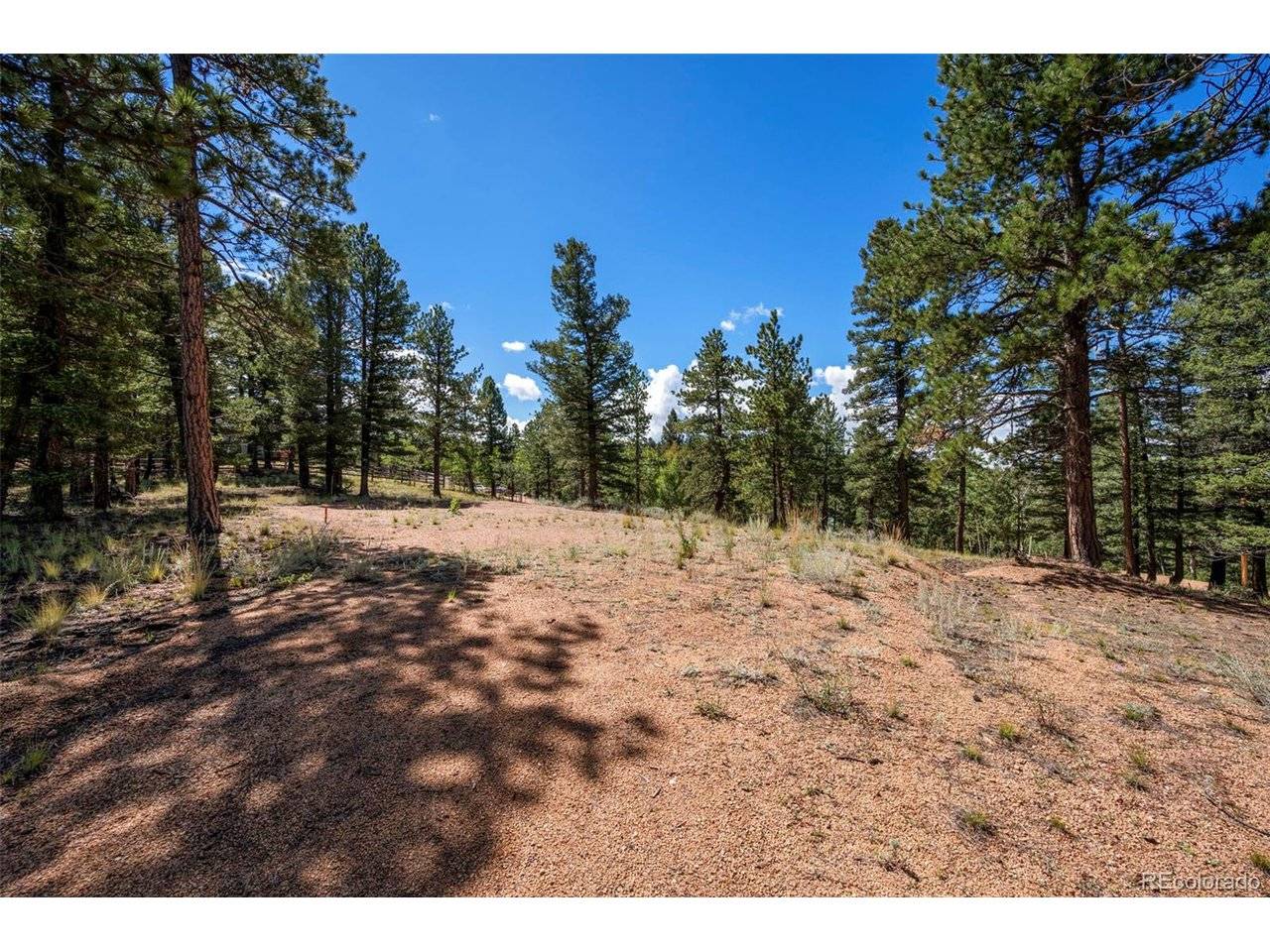 210 Donzi, Florissant, CO 80816