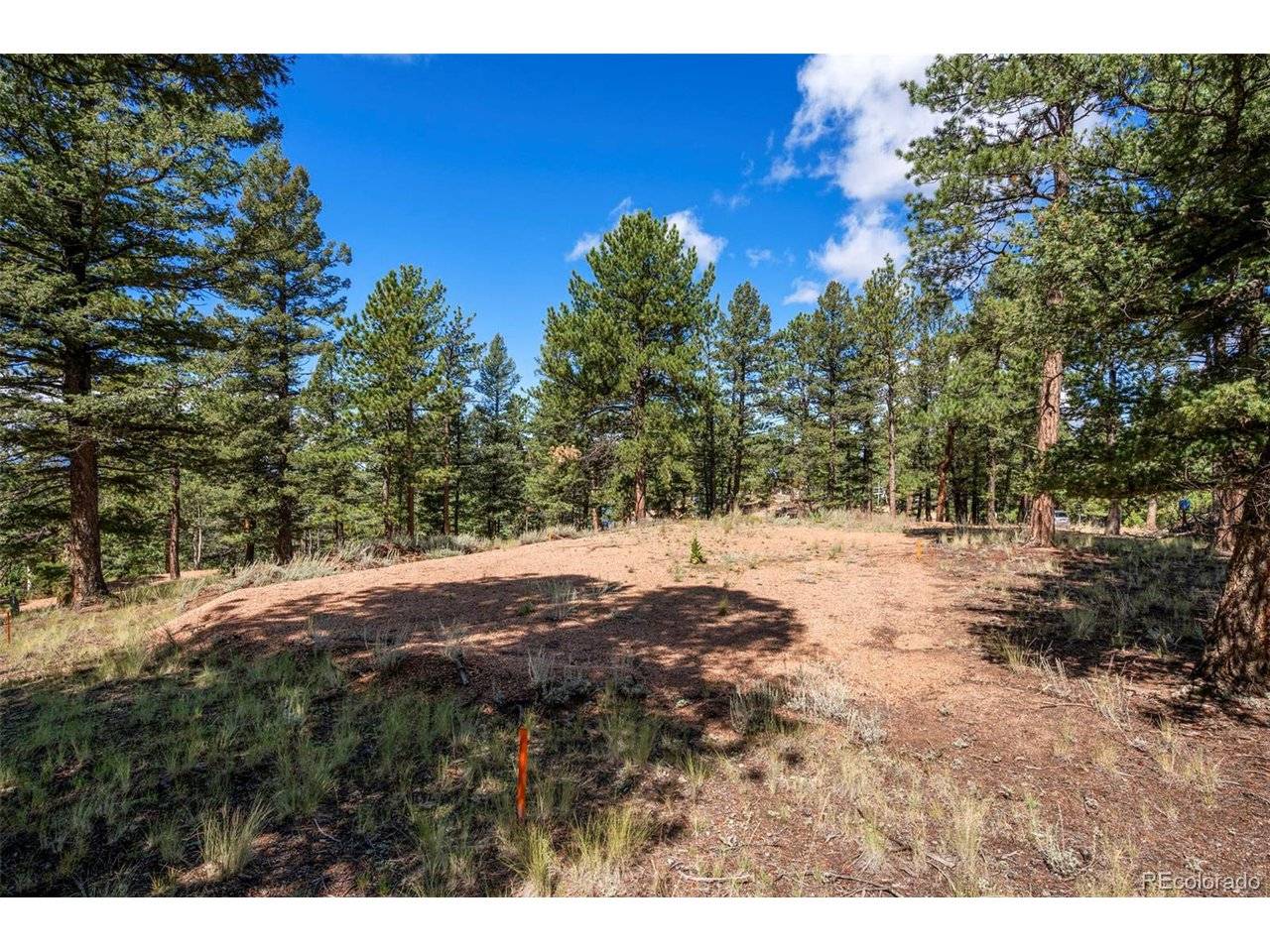 210 Donzi, Florissant, CO 80816