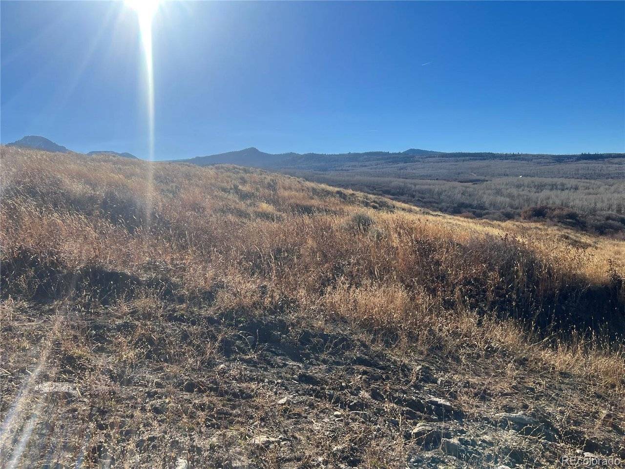 544 Timberlane, Craig, CO 81625