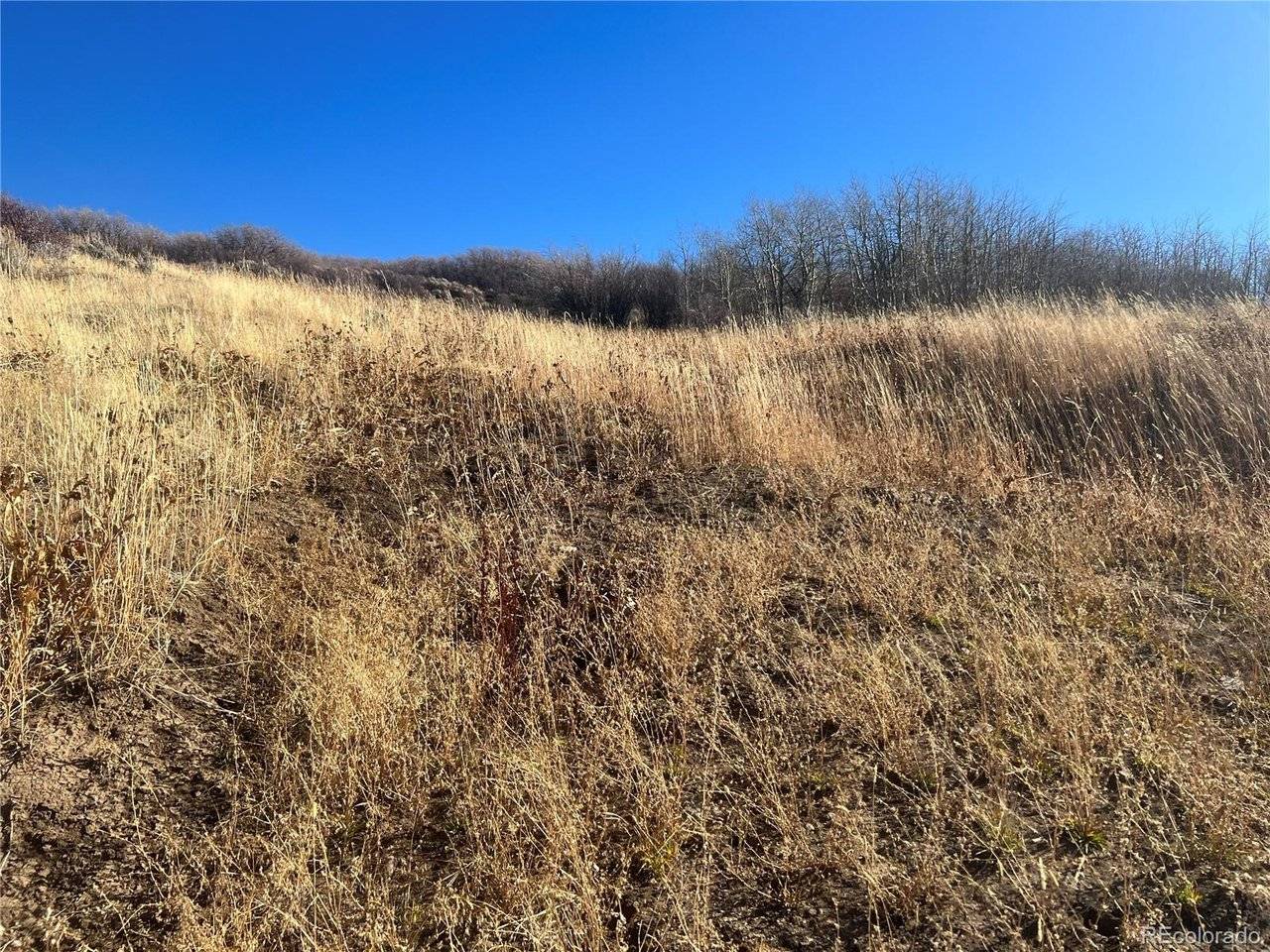 544 Timberlane, Craig, CO 81625