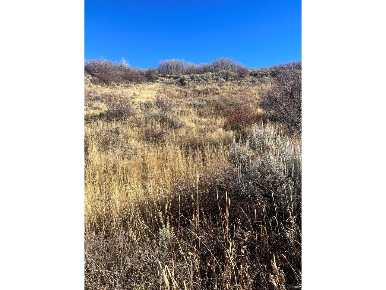 544 Timberlane, Craig, CO 81625
