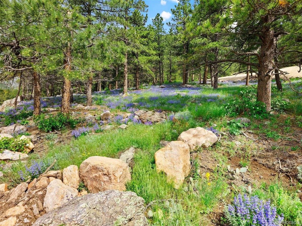 7 Canyon Pines, Arvada, CO 80403