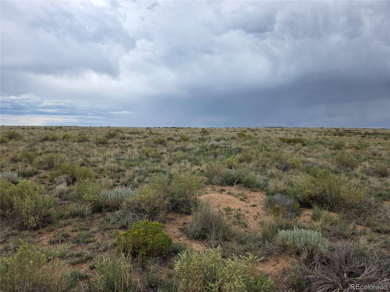 War Eagle, San Luis, CO 81152
