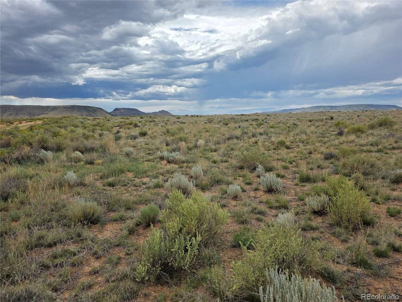 War Eagle, San Luis, CO 81152