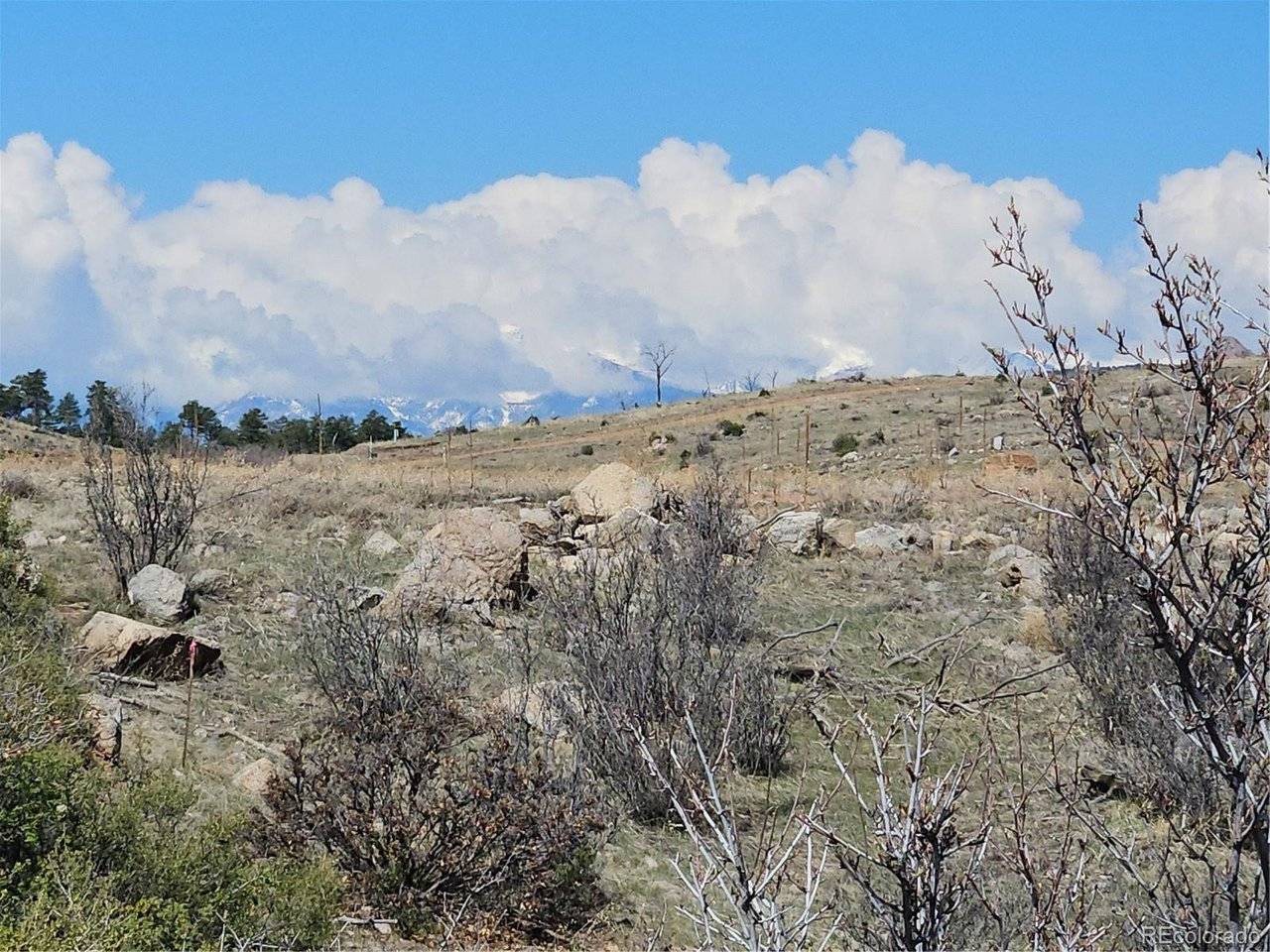 839 SHANNON, Cotopaxi, CO 81223