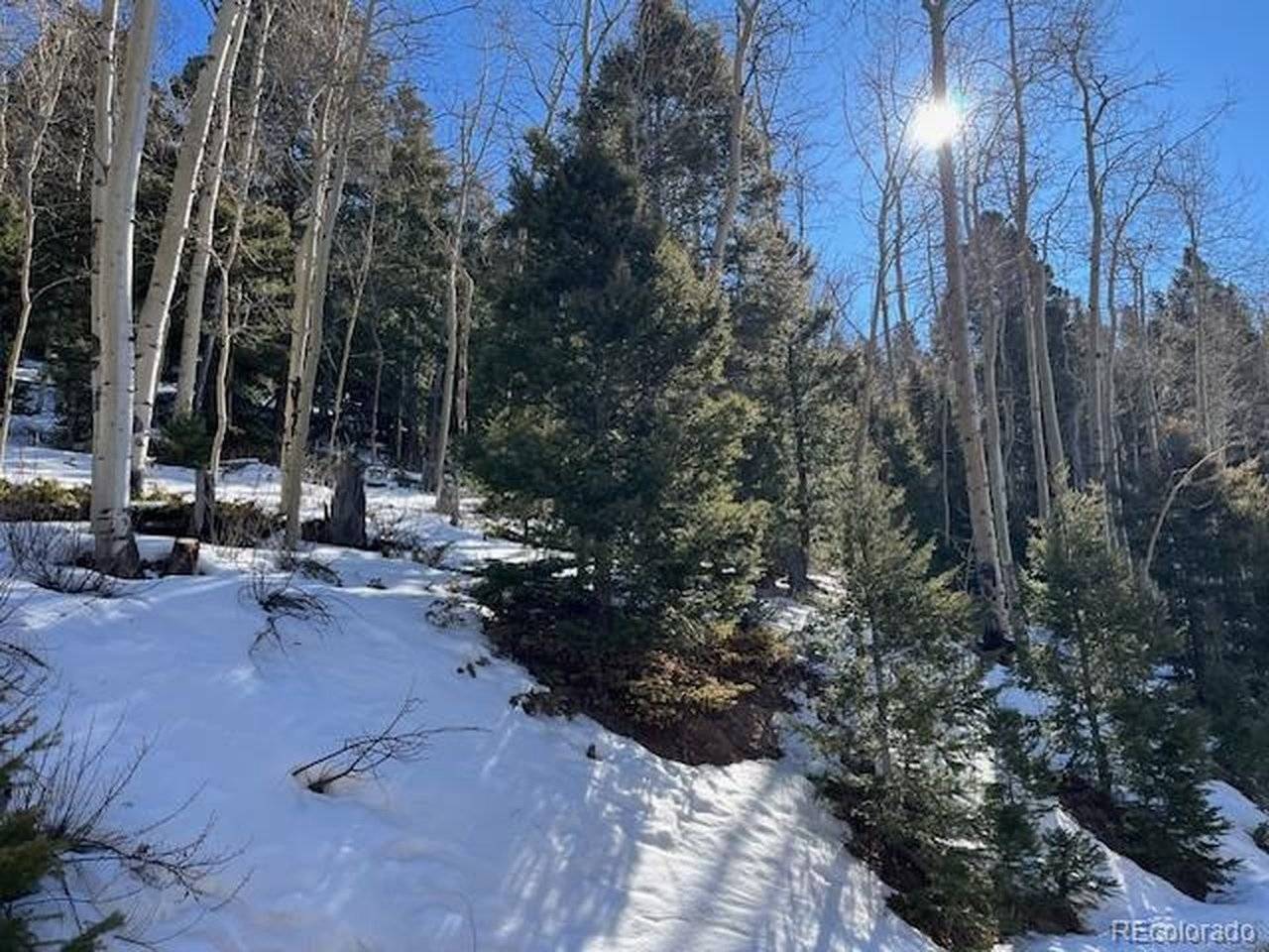5339 Howard, Fort Garland, CO 81133