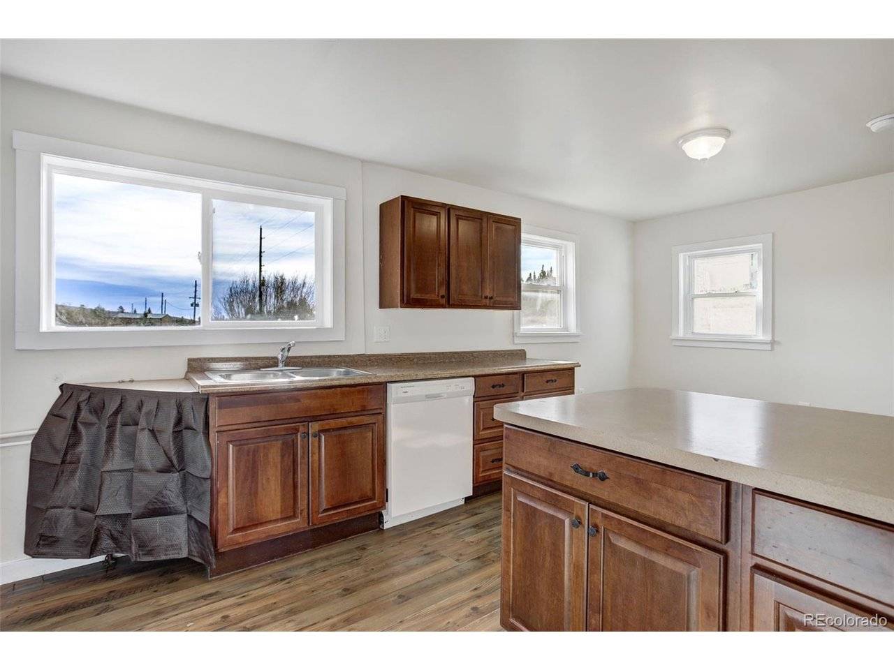 50 Singleton, Alma, CO 80420