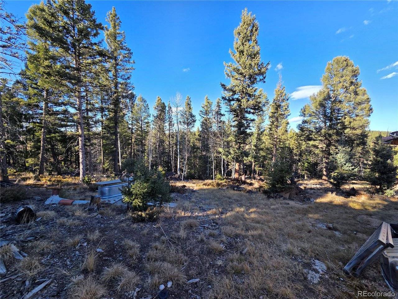 1434 Blue Mesa, Divide, CO 80814