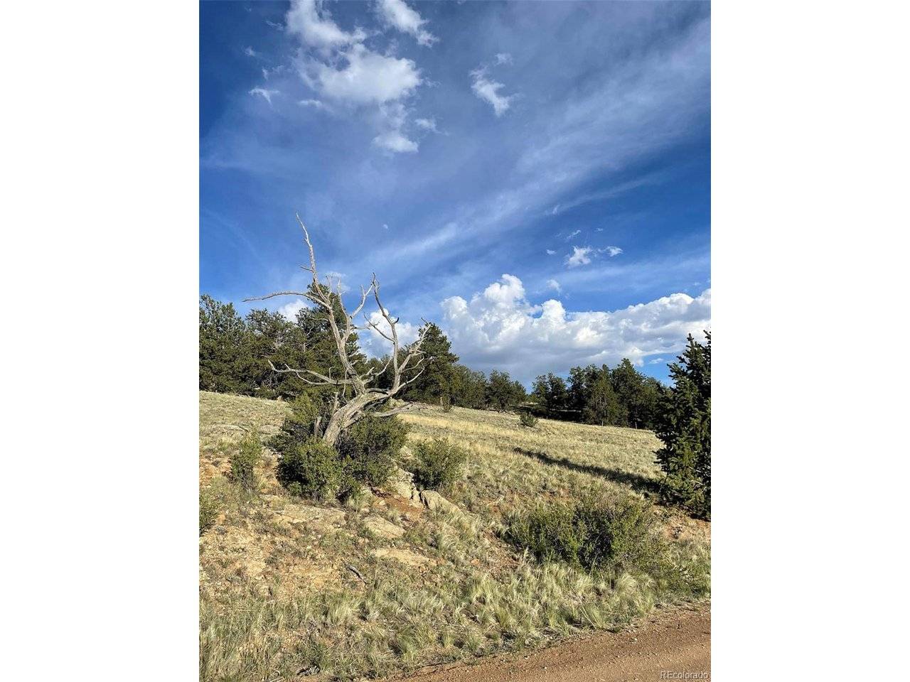 691 Cathy, Hartsel, CO 80449