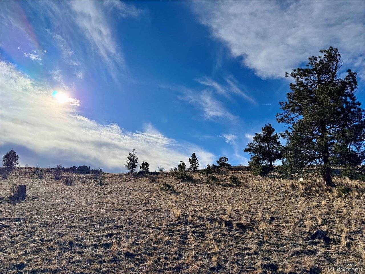 10620 Routt, Lake George, CO 80449
