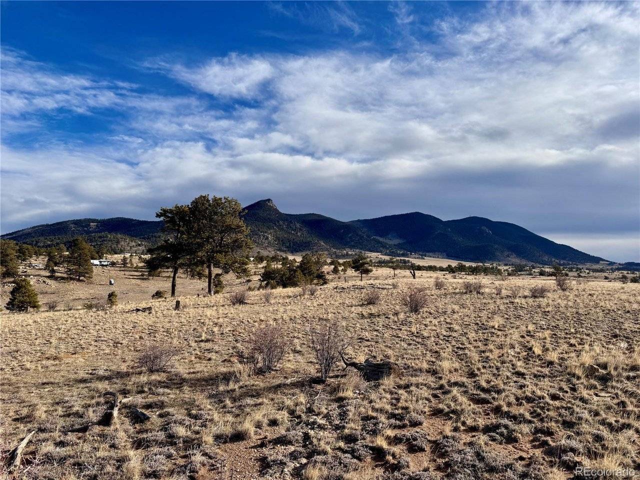 10620 Routt, Lake George, CO 80449