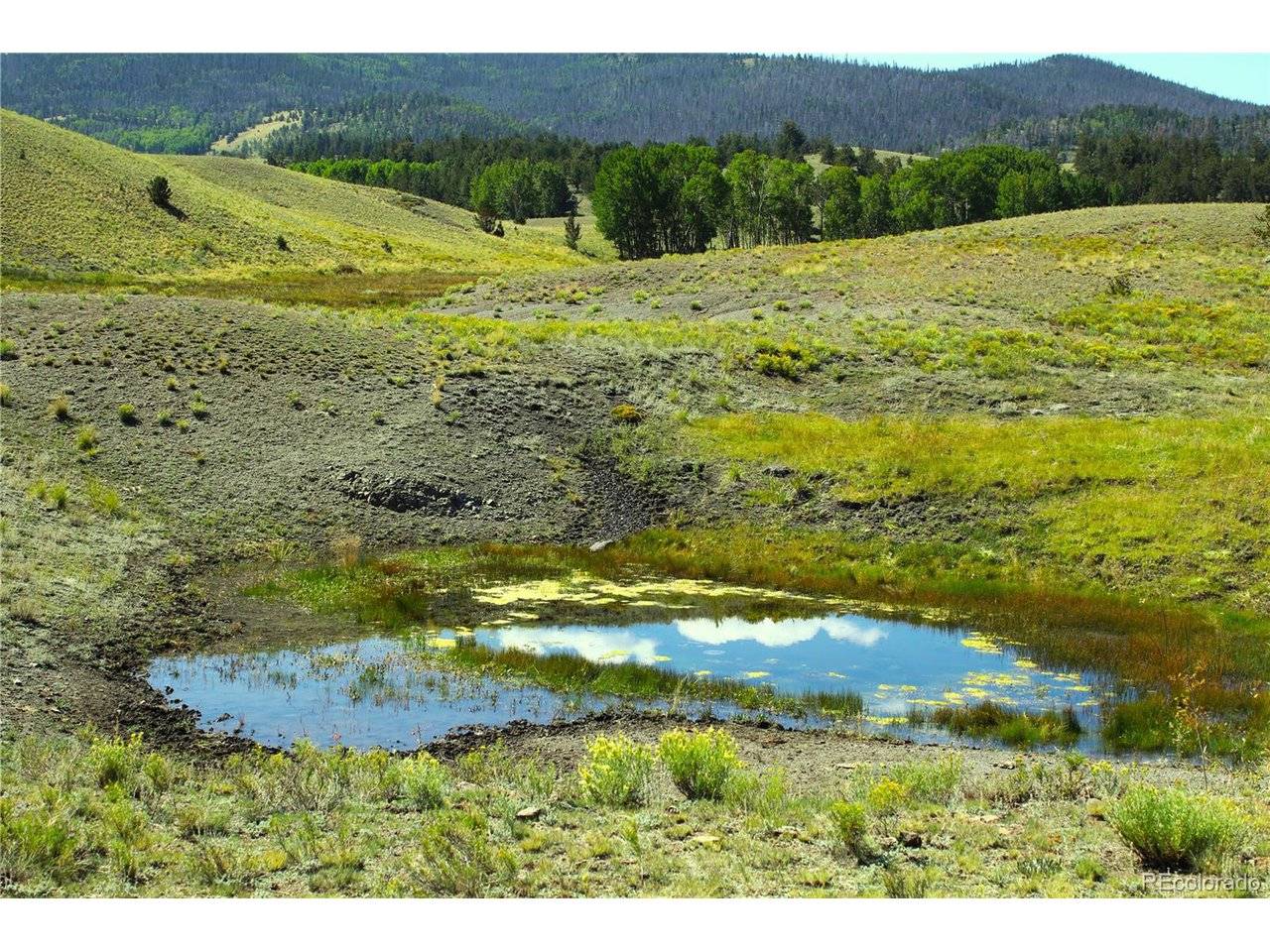 Address not disclosed, Guffey, CO 80820