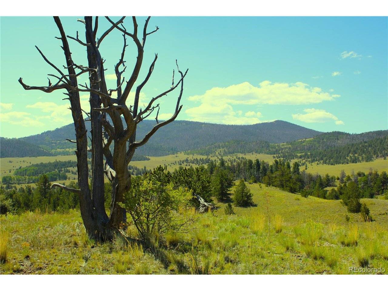 Address not disclosed, Guffey, CO 80820