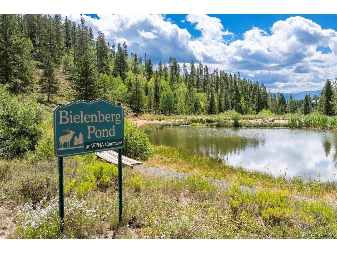 113 Elk Park, Tabernash, CO 80478
