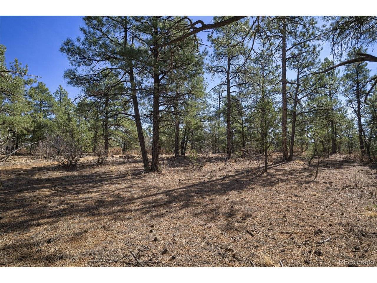 Rancho La Garita Lot 1129, Weston, CO 81091