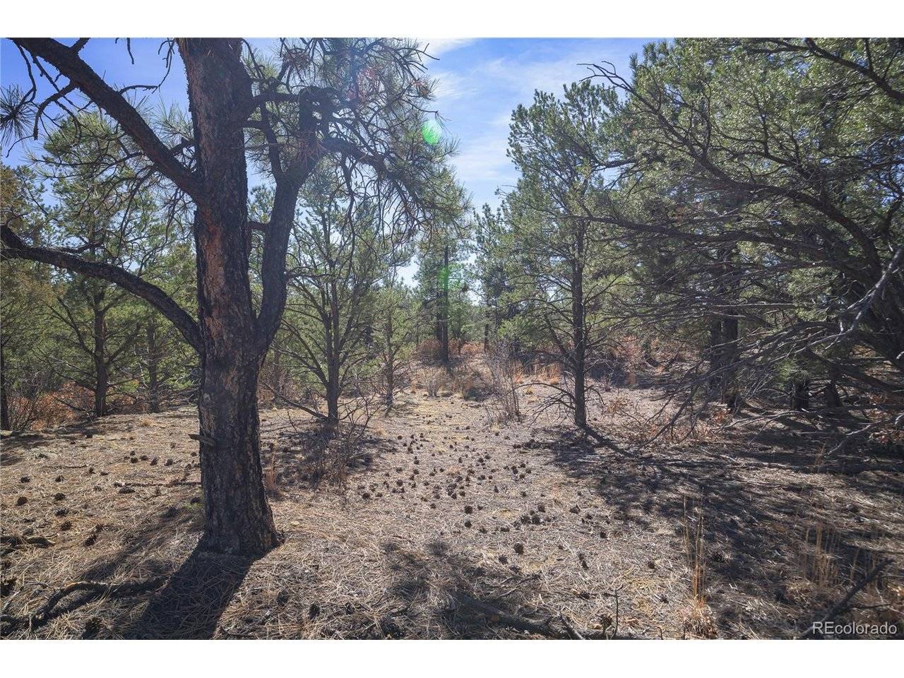 Rancho La Garita Lot 1129, Weston, CO 81091
