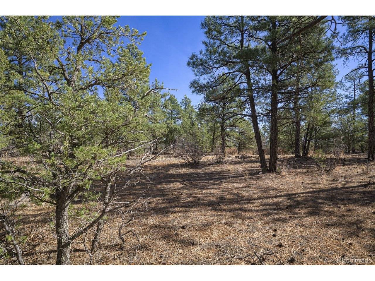 Rancho La Garita Lot 1129, Weston, CO 81091