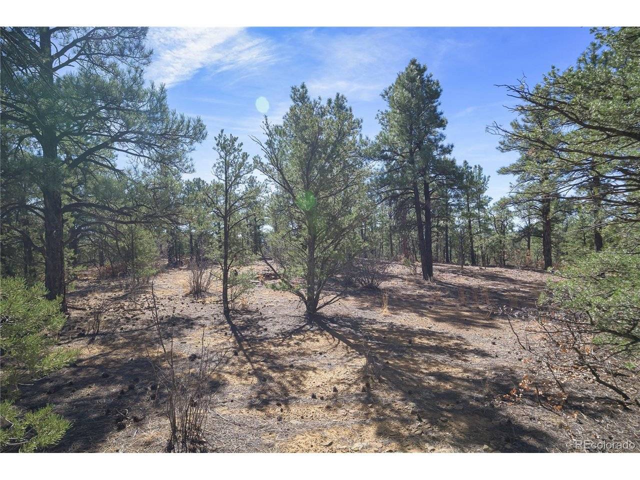 Rancho La Garita Lot 1129, Weston, CO 81091
