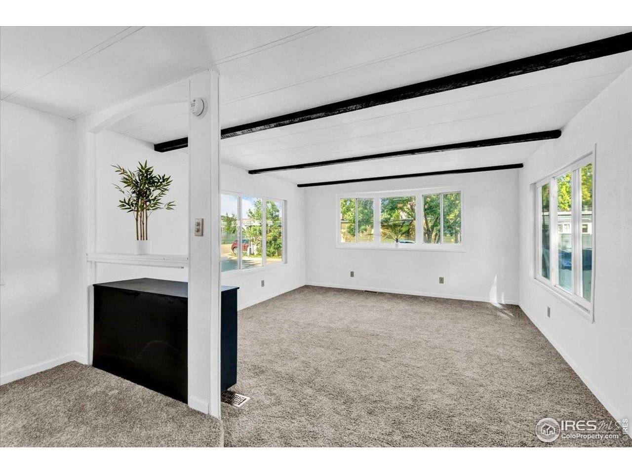 1400 S Collyer #301, Longmont, CO 80501