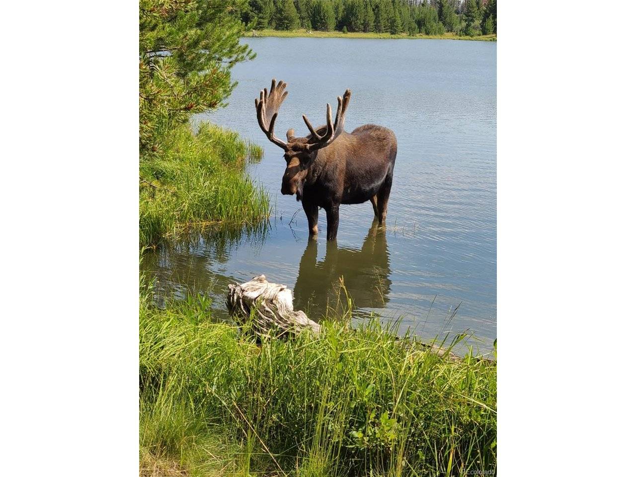 Address not disclosed, Grand Lake, CO 80447