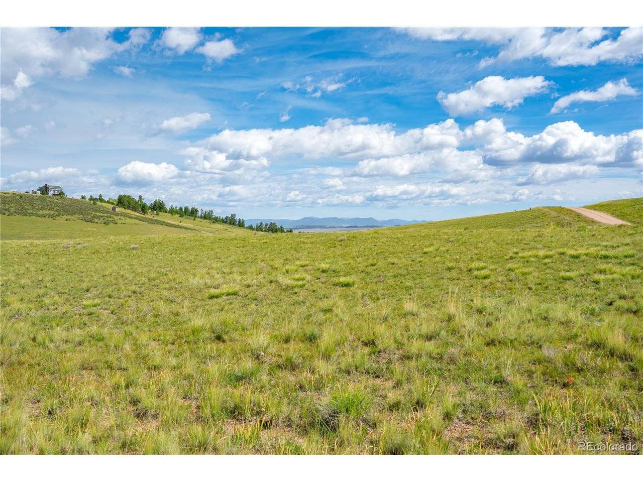 635 Hereford, Hartsel, CO 80449