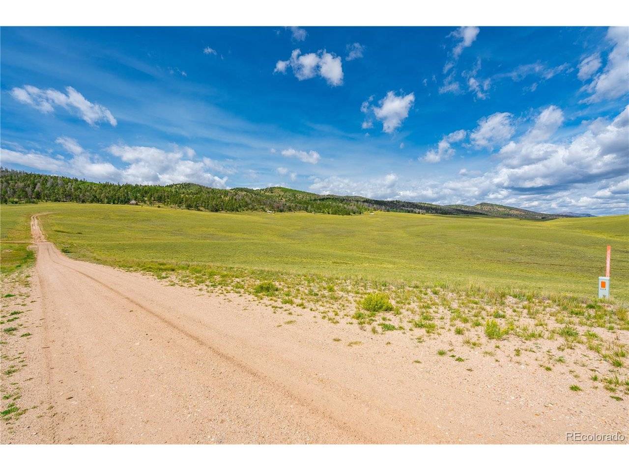 635 Hereford, Hartsel, CO 80449