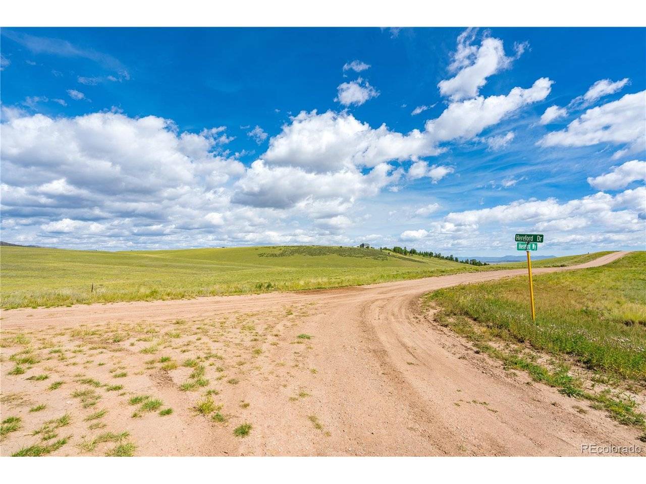 635 Hereford, Hartsel, CO 80449