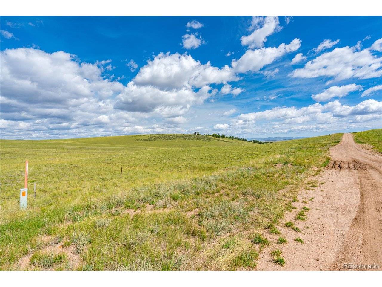 635 Hereford, Hartsel, CO 80449